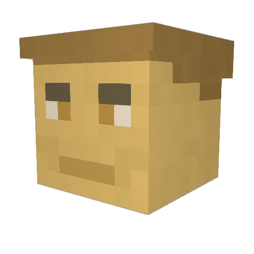 DeanKamen Minecraft avatar head, 3D render