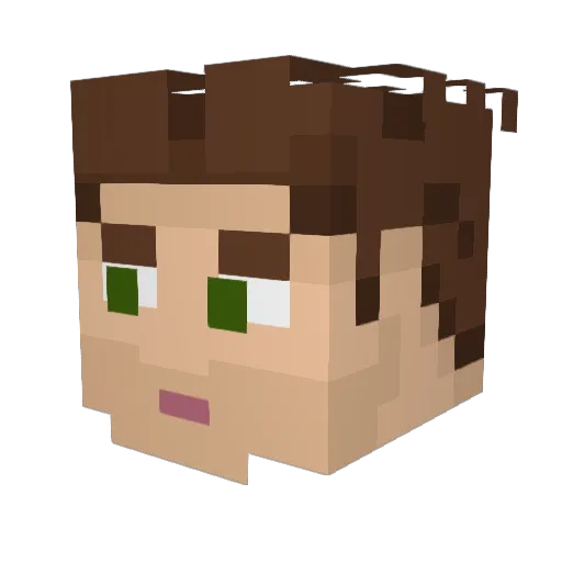 DeanWlnchester Minecraft avatar head, 3D render