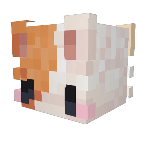 DeanoEcho Minecraft avatar head, 3D render
