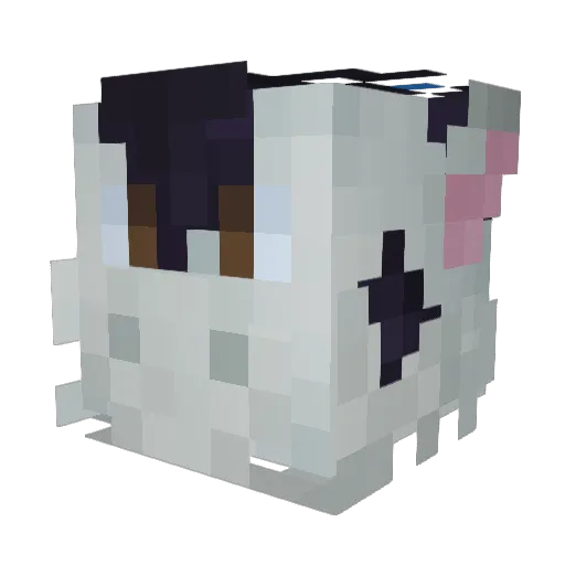 DearTheBear Minecraft avatar head, 3D render