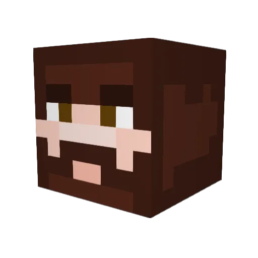 Death2Erika Minecraft avatar head, 3D render