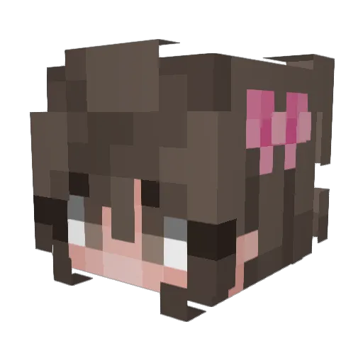 Death9605 Minecraft avatar head, 3D render