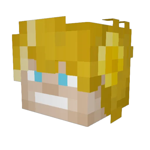 DeathCure141 Minecraft avatar head, 3D render
