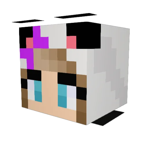 DeathDragon28 Minecraft avatar head, 3D render