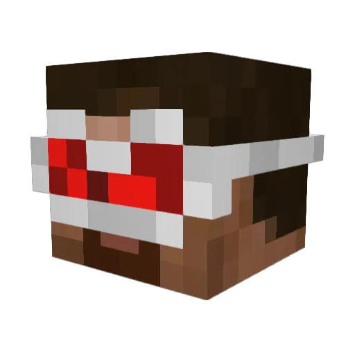 DeathEnjoyer1337 Minecraft avatar head, 3D render