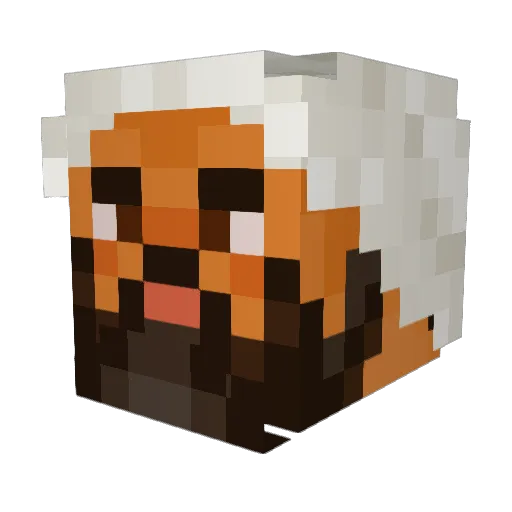 DeathFlash45 Minecraft avatar head, 3D render
