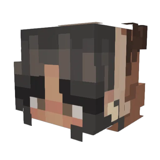 DeathGripsFan123 Minecraft avatar head, 3D render