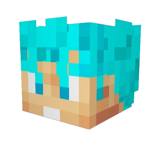 DeathMasterxX Minecraft avatar head, 3D render