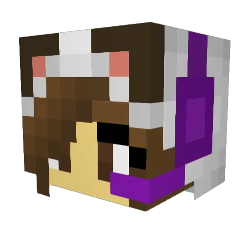 DeathPixel249 Minecraft avatar head, 3D render