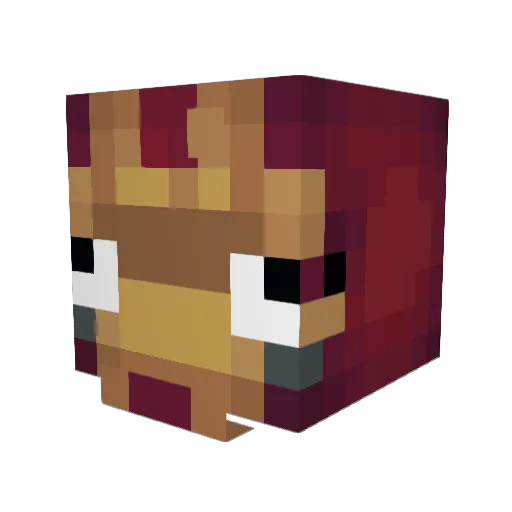 DeathPuppy2 Minecraft avatar head, 3D render