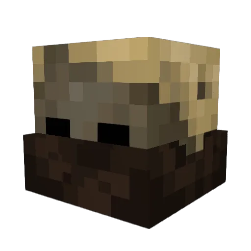 DeathSoljah Minecraft avatar head, 3D render