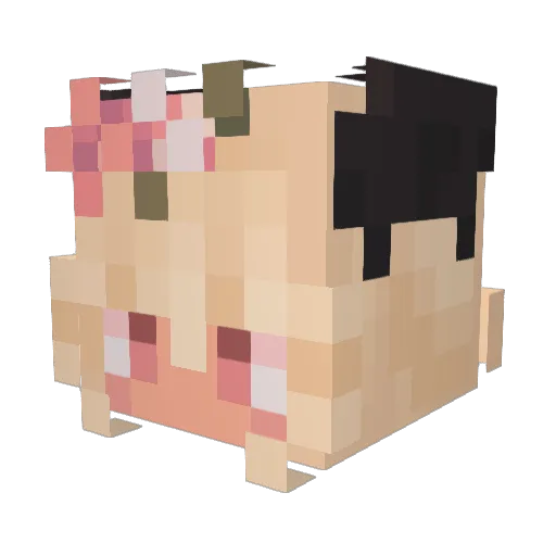 DeathStar450 Minecraft avatar head, 3D render