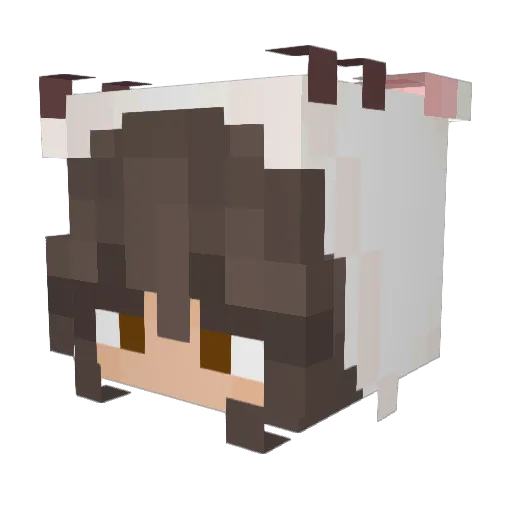 DeathVal0 Minecraft avatar head, 3D render