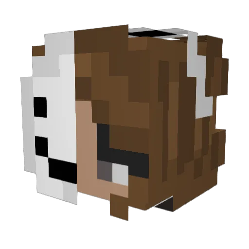 DeathValley20 Minecraft avatar head, 3D render