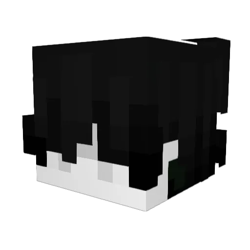DeathWolf99 Minecraft avatar head, 3D render