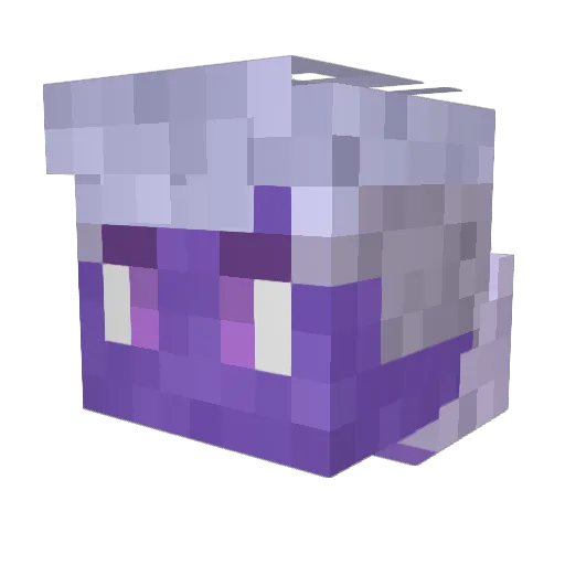 DeathWorld8189 Minecraft avatar head, 3D render