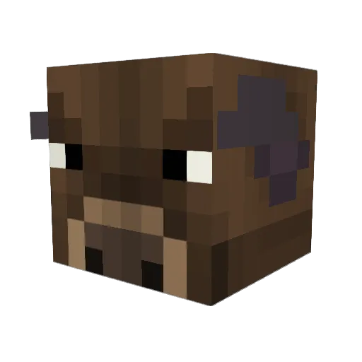 Death___Omen Minecraft avatar head, 3D render