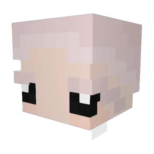 Death_trap4 Minecraft avatar head, 3D render