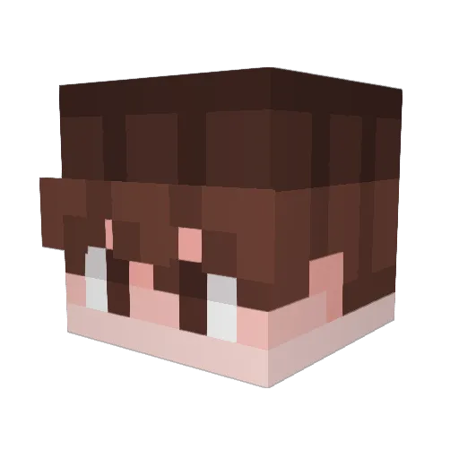 Deathany29 Minecraft avatar head, 3D render