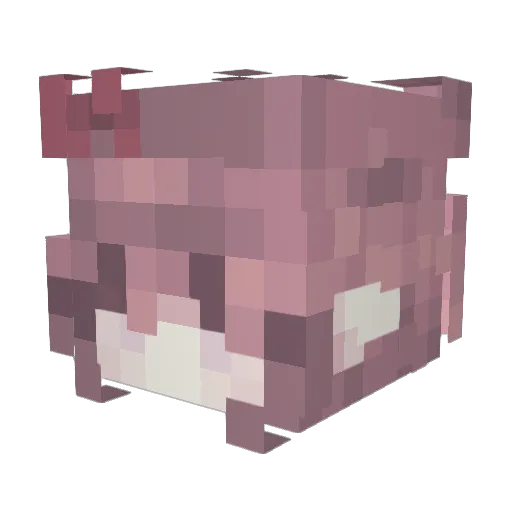Deathclaw495 Minecraft avatar head, 3D render