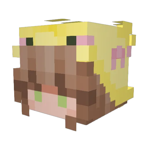 Deathlyin Minecraft avatar head, 3D render