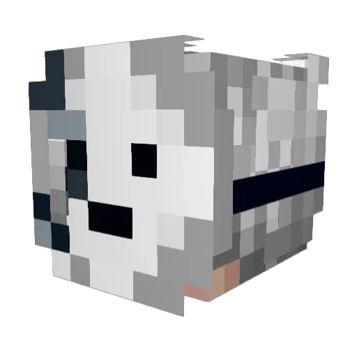 Deathray10001 Minecraft avatar head, 3D render