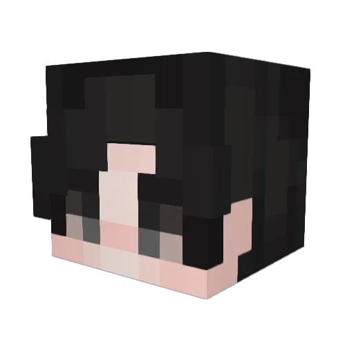 Deathriddle Minecraft avatar head, 3D render