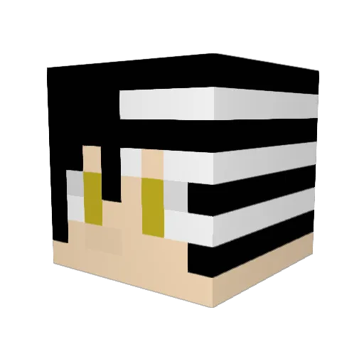 DeathsLegacy Minecraft avatar head, 3D render