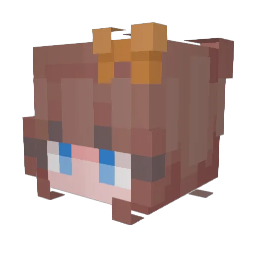 Deathsector Minecraft avatar head, 3D render