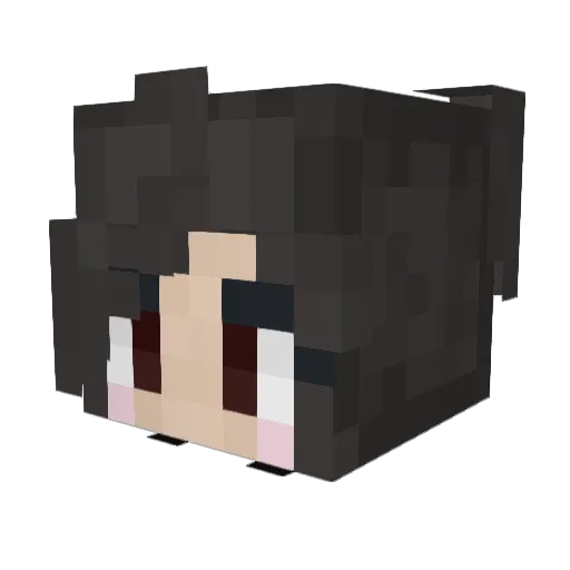Deathsrule Minecraft avatar head, 3D render