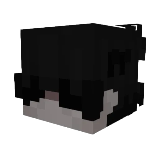 Deathz Minecraft avatar head, 3D render