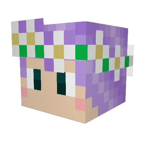 Deazel73 Minecraft avatar head, 3D render