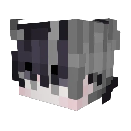DeazyXD Minecraft avatar head, 3D render