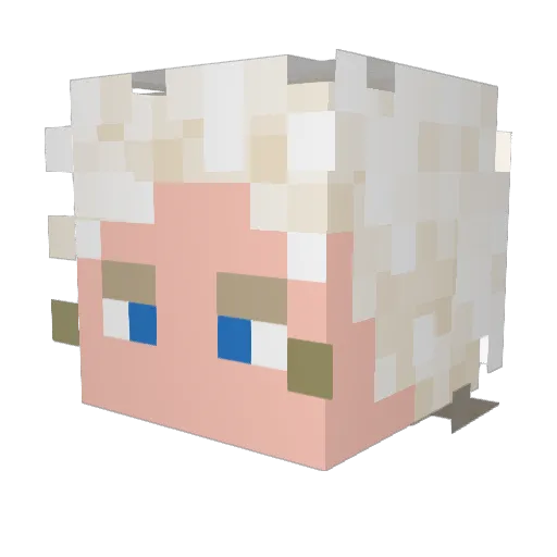 Debster1993 Minecraft avatar head, 3D render