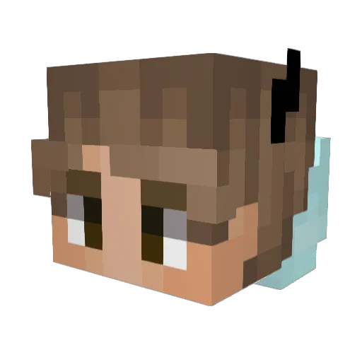 Debzu Minecraft avatar head, 3D render