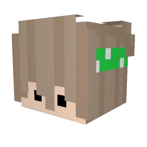DecadeForever Minecraft avatar head, 3D render
