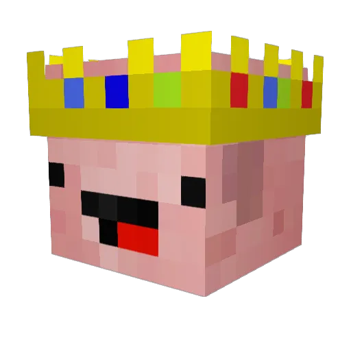 DecafBassoon569 Minecraft avatar head, 3D render