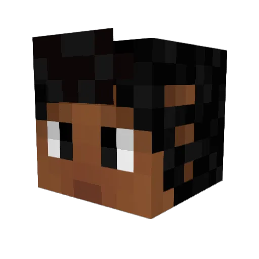 Decaf_Owl Minecraft avatar head, 3D render