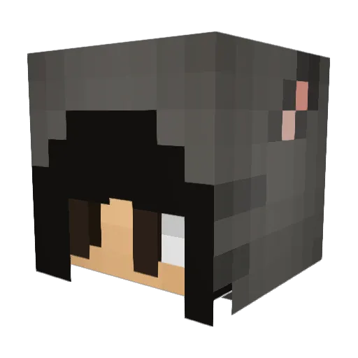 Decagonal Minecraft avatar head, 3D render