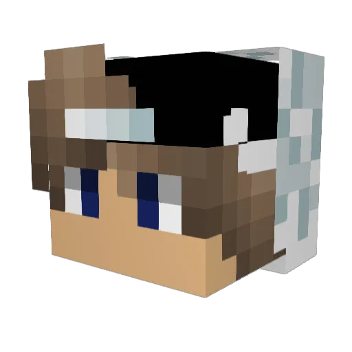 Decatron2011 Minecraft avatar head, 3D render