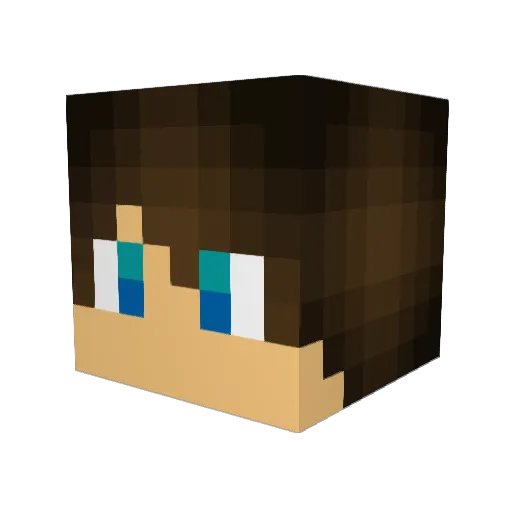 Decay2008 Minecraft avatar head, 3D render