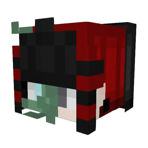 DecayedDandelion Minecraft avatar head, 3D render
