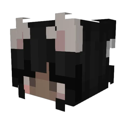 Decayed_Reaper Minecraft avatar head, 3D render
