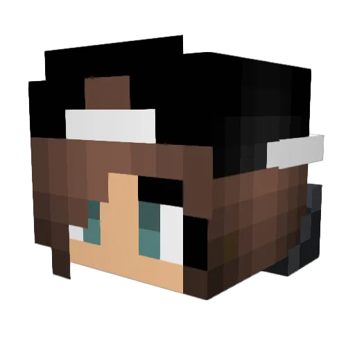 DecayingSky Minecraft avatar head, 3D render