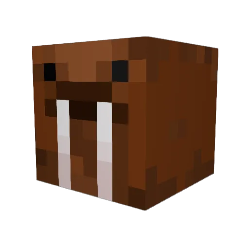 Deccentrix Minecraft avatar head, 3D render