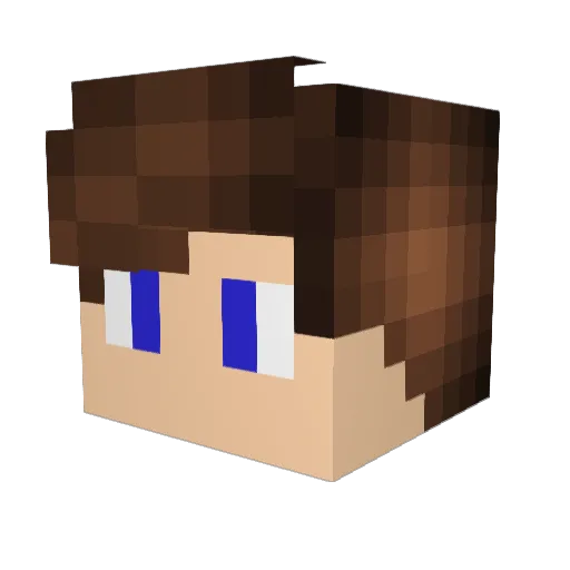 Decctor Minecraft avatar head, 3D render