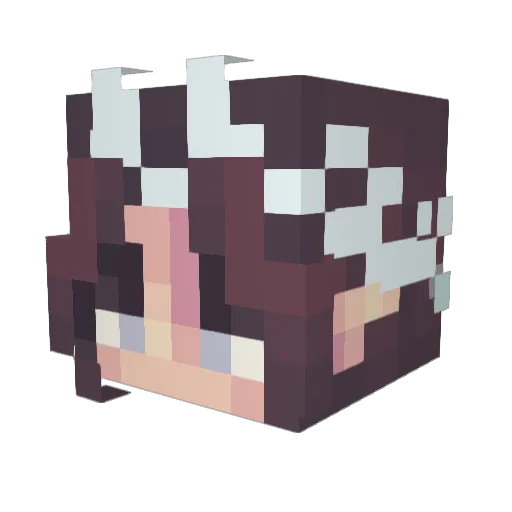 Deceitfuleye Minecraft avatar head, 3D render