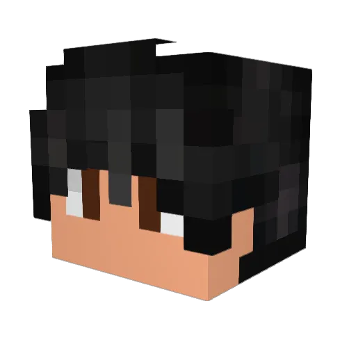 DecentWalker Minecraft avatar head, 3D render