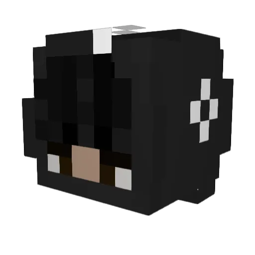 Decidability Minecraft avatar head, 3D render