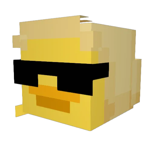 DecidedlynotDuck Minecraft avatar head, 3D render
